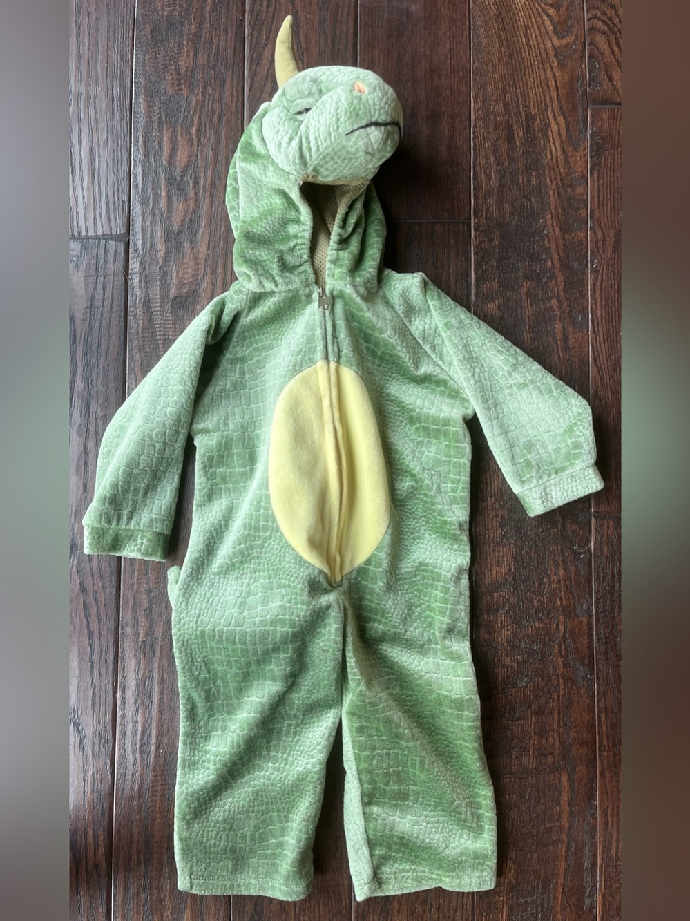 Halloween Costume Dragon